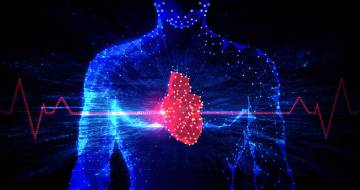 Electrophysiology